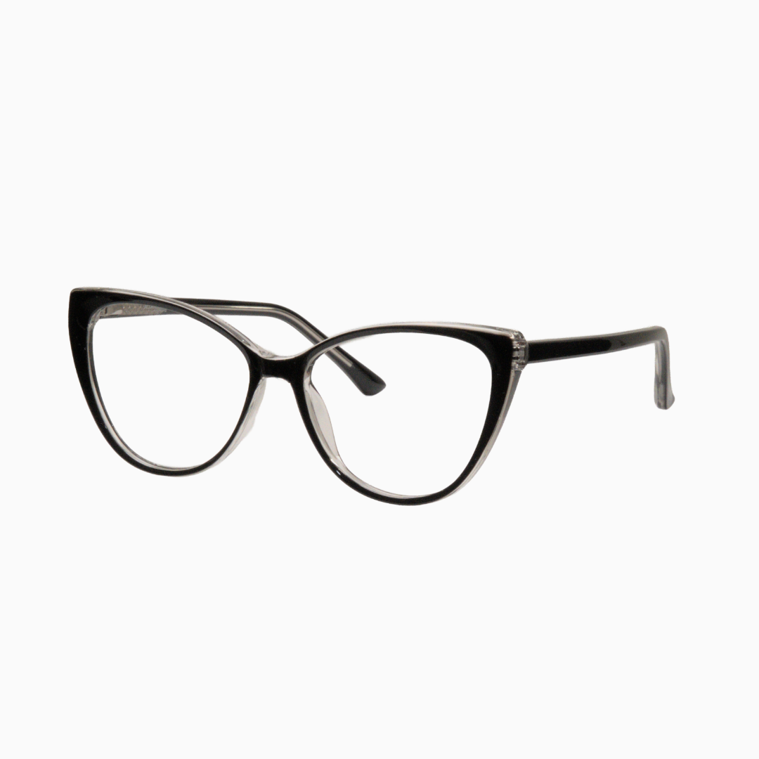 EVC-79-shy-01